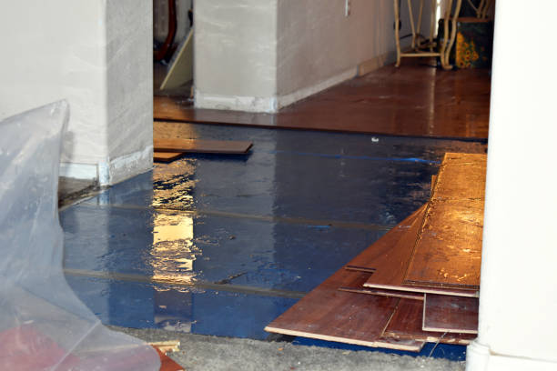 Professional Flood Cleanup technician working in Villa Grande, CA